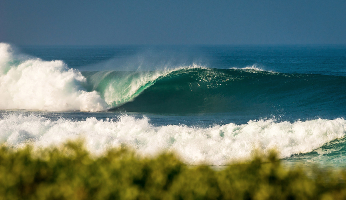 Photo: <a href=\"https://www.waterworkmedia.com/\">Sean Evans</a>