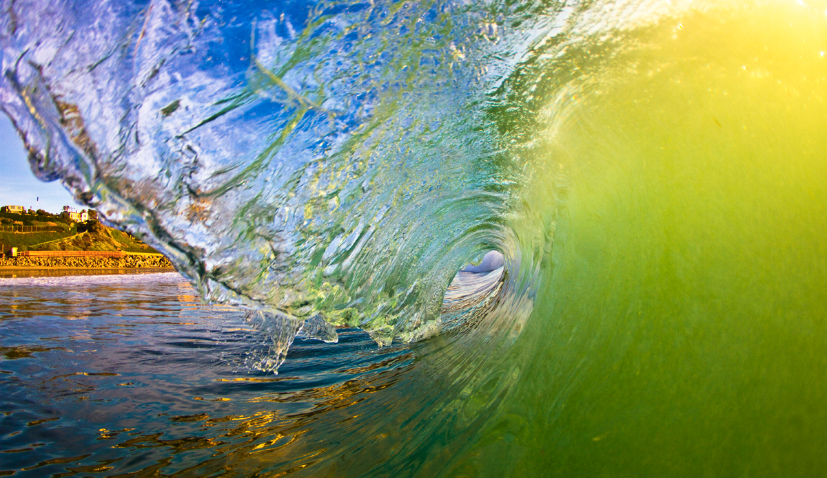 Your daily greens. Photo: <a href=\"https://www.facebook.com/pages/Jared-Sislin-Photography/258114520882025\">Jared Sislin</a>