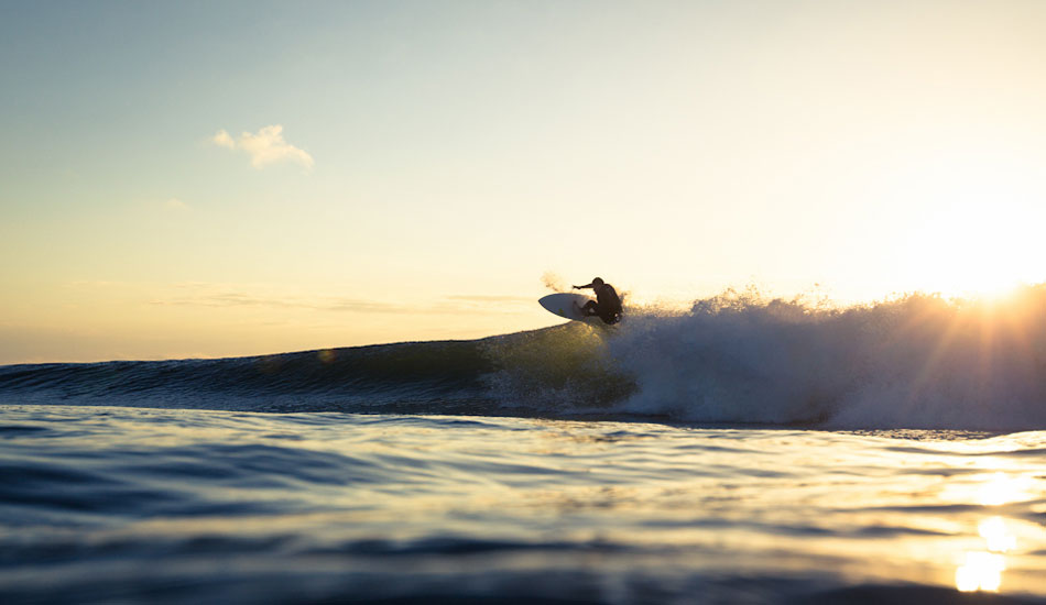 Photo: <a href=\"https://www.alexfrings.com/\">Alex Frings</a>