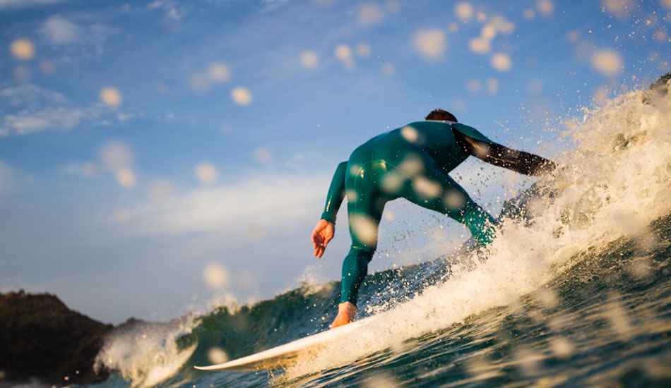 Photo: <a href=\"https://www.alexfrings.com/\">Alex Frings</a>