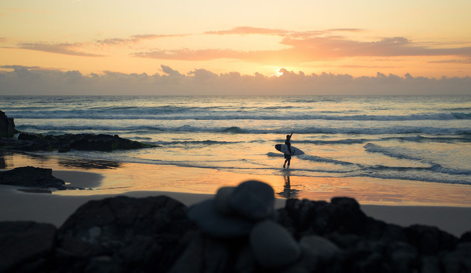 Photo: <a href=\"https://www.alexfrings.com/\">Alex Frings</a>