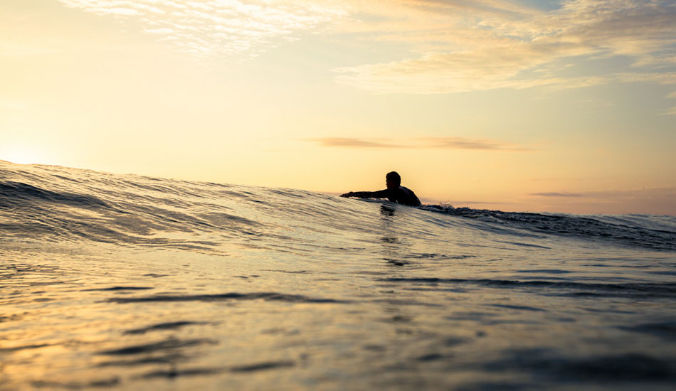 Photo: <a href=\"https://www.alexfrings.com/\">Alex Frings</a>