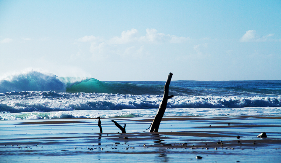 While everyone else spent their Saturday morning at snapper standing on top of eacho ther, we found this diamond. Photo: <a href=\"https://instagram.com/Samueldhall\">Samuel Hall</a> 