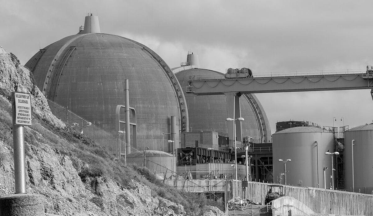 Photo: Andrea Coleman