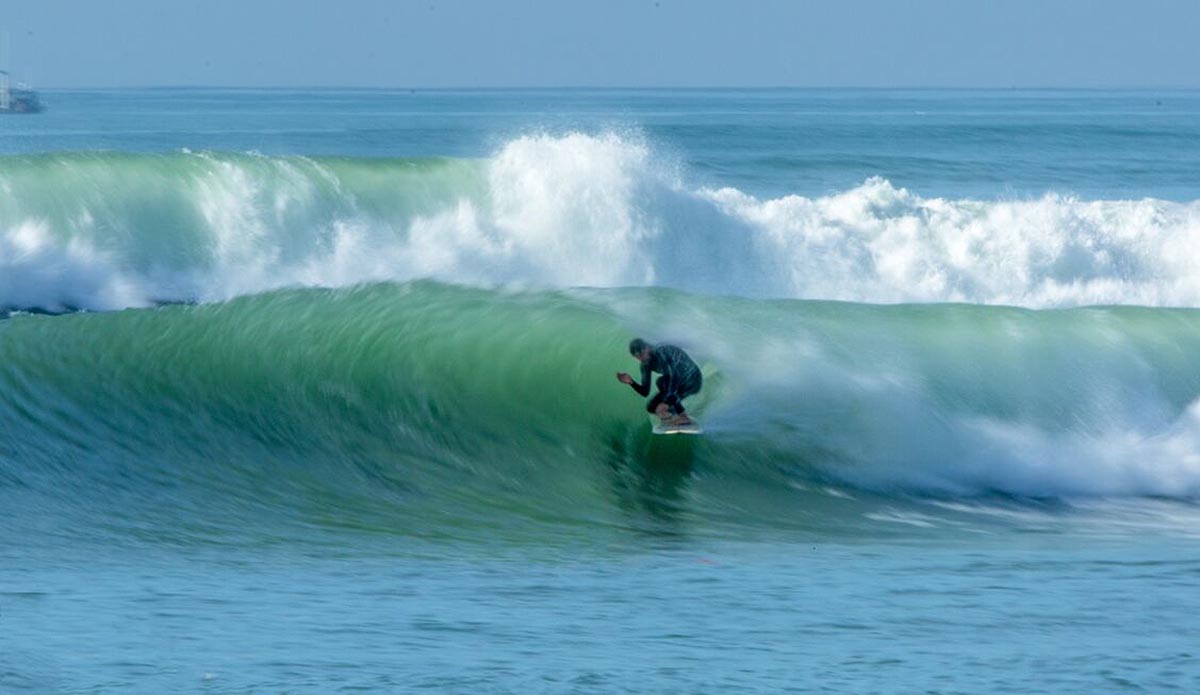 Photo: Andrea Coleman