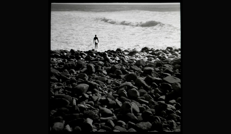 Contrast. Photo: <a href=\"https://www.danielgrantphotography.com/\">Daniel Grant</a>