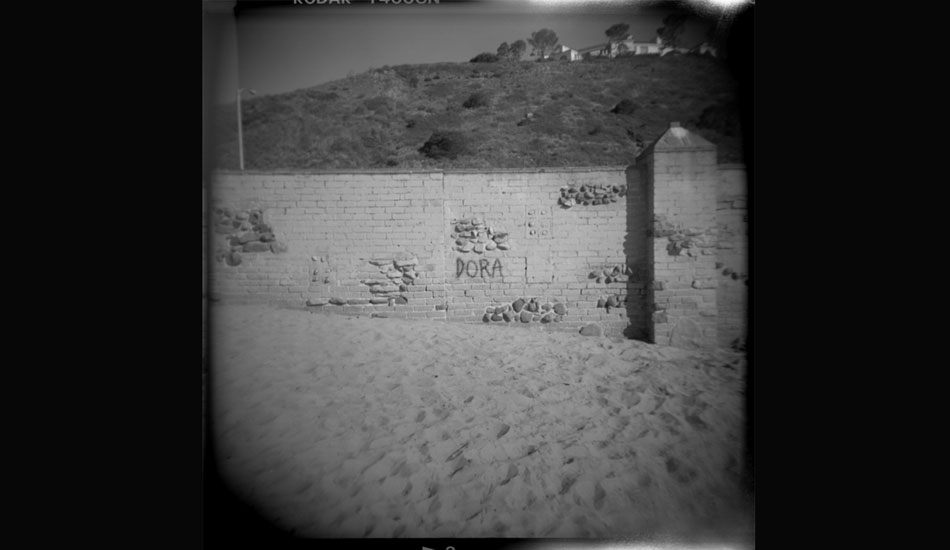 Dora. Photo: <a href=\"https://www.danielgrantphotography.com/\">DanielGrant</a>