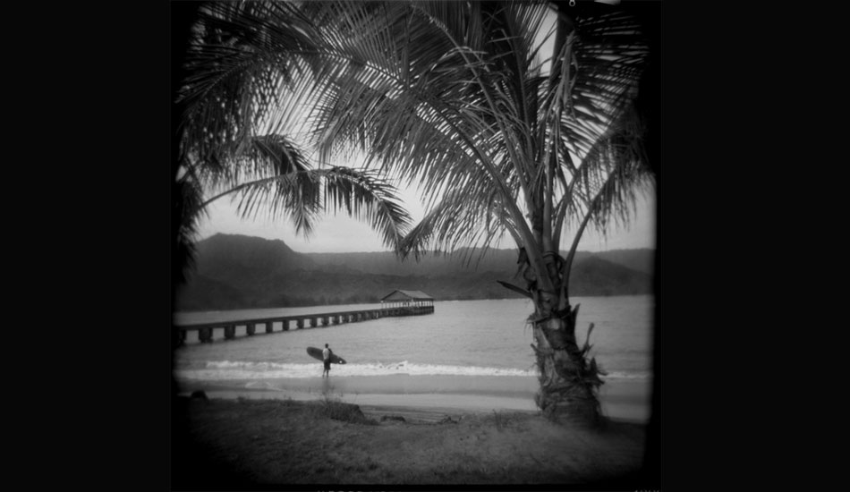 Paradise. Photo: <a href=\"https://www.danielgrantphotography.com/\">Daniel Grant</a>