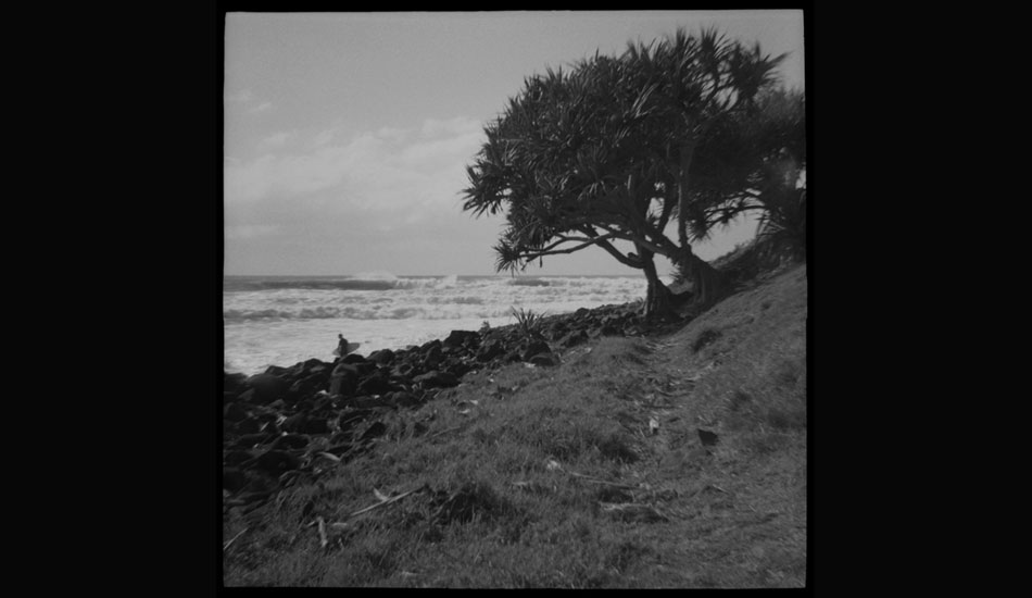 Shelter. Photo: <a href=\"https://www.danielgrantphotography.com/\">Daniel Grant</a>