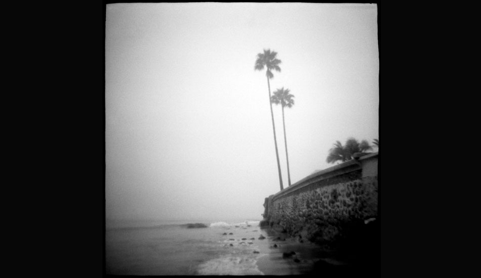 Twin Palms. Photo: <a href=\"https://www.danielgrantphotography.com/\">Daniel Grant</a>