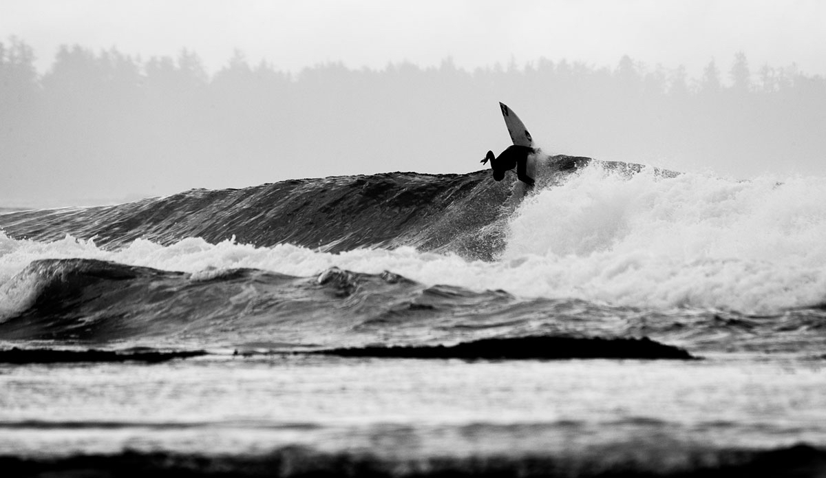 Photo: <a href=\"https://www.marcuspaladino.com\">Marcus Paladino</a>