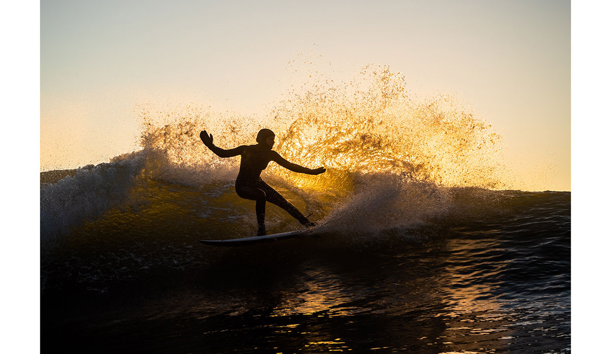 Photo: <a href=\"https://www.marcuspaladino.com\">Marcus Paladino</a>