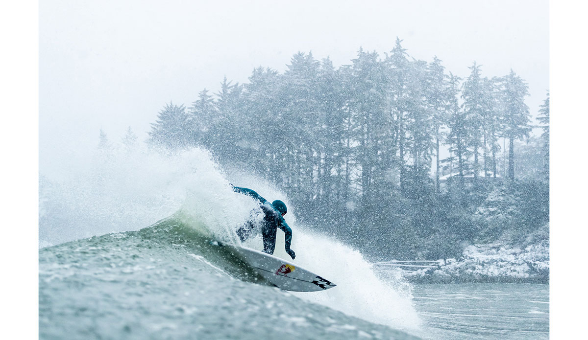 Photo: <a href=\"https://www.marcuspaladino.com\">Marcus Paladino</a>