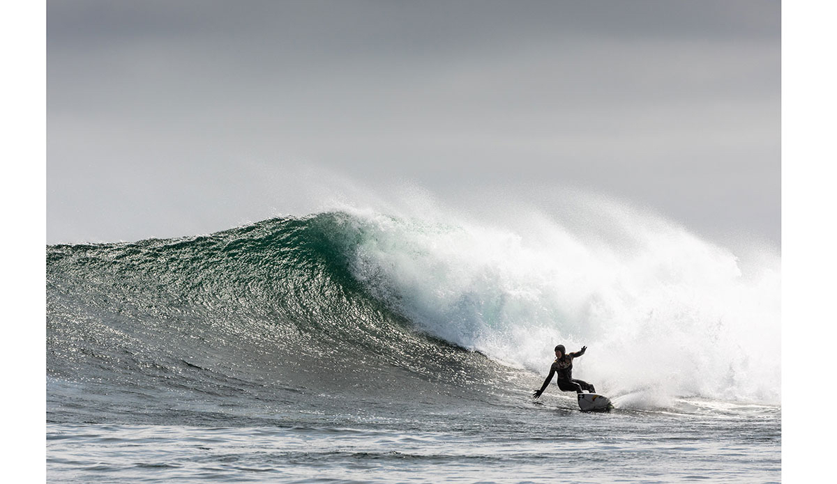 Photo: <a href=\"https://www.marcuspaladino.com\">Marcus Paladino</a>