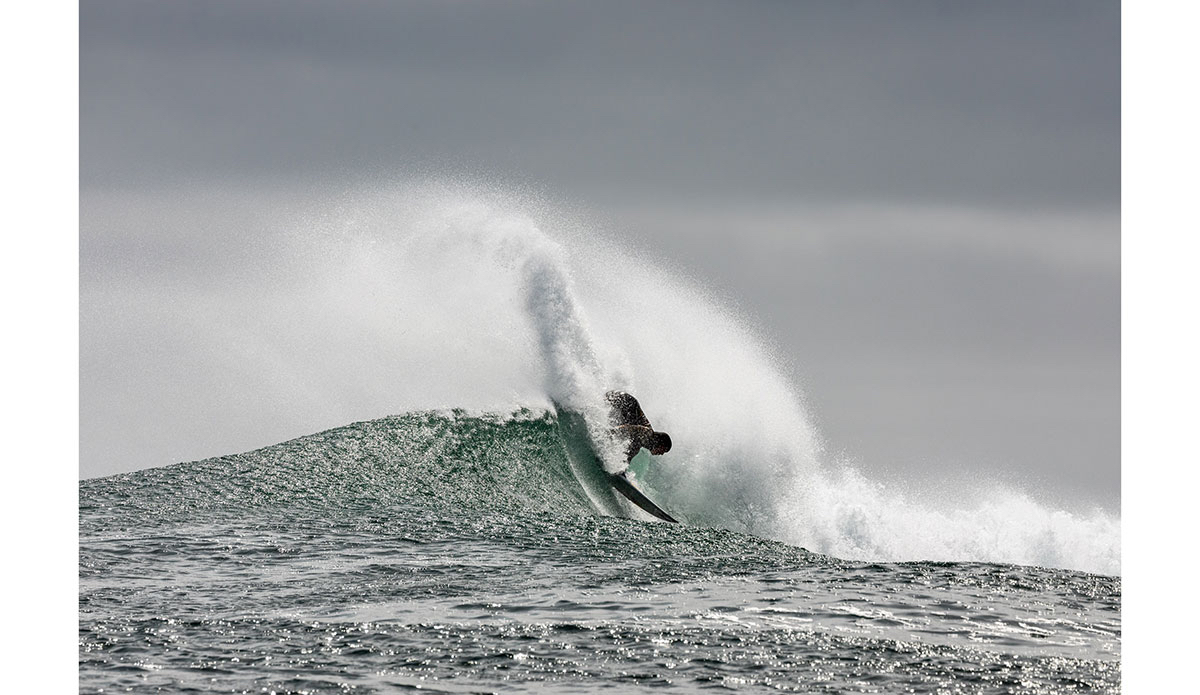 Photo: <a href=\"https://www.marcuspaladino.com\">Marcus Paladino</a>