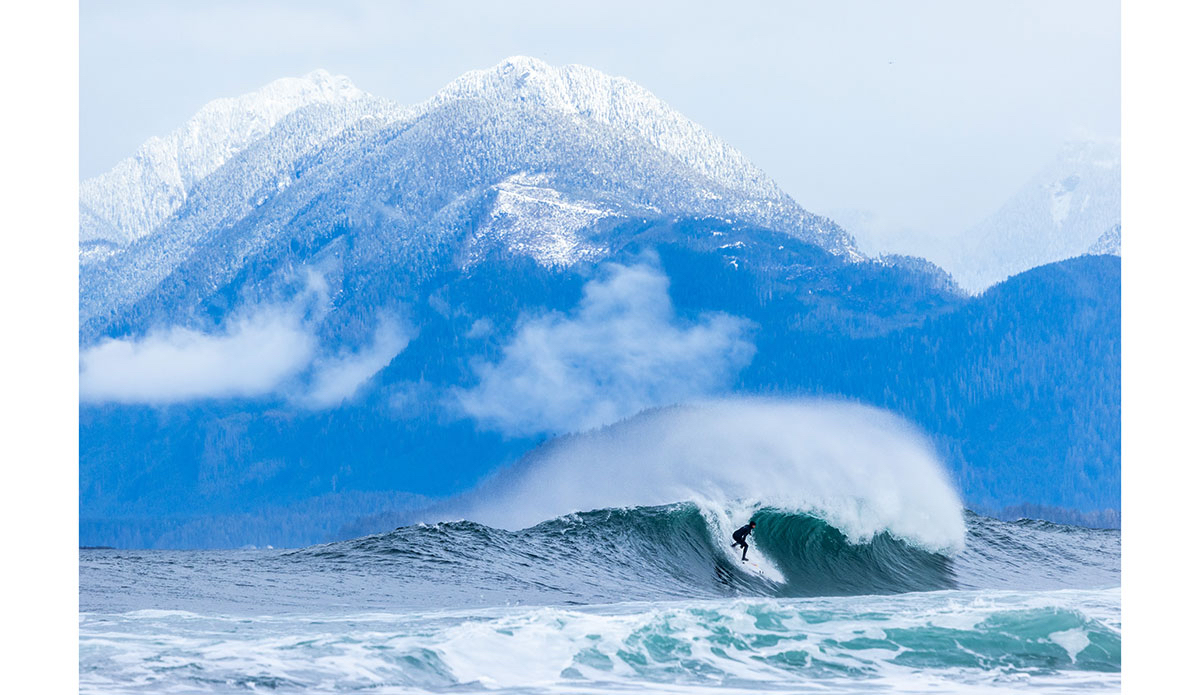 Photo: <a href=\"https://www.marcuspaladino.com\">Marcus Paladino</a>