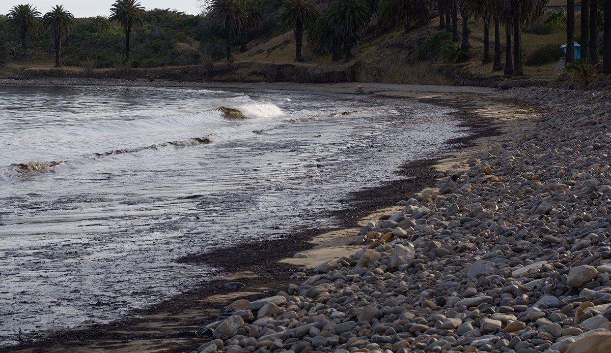 Photo:<a href=\"https://www.rjmorabitophoto.com/\">RJ Morabito</a>