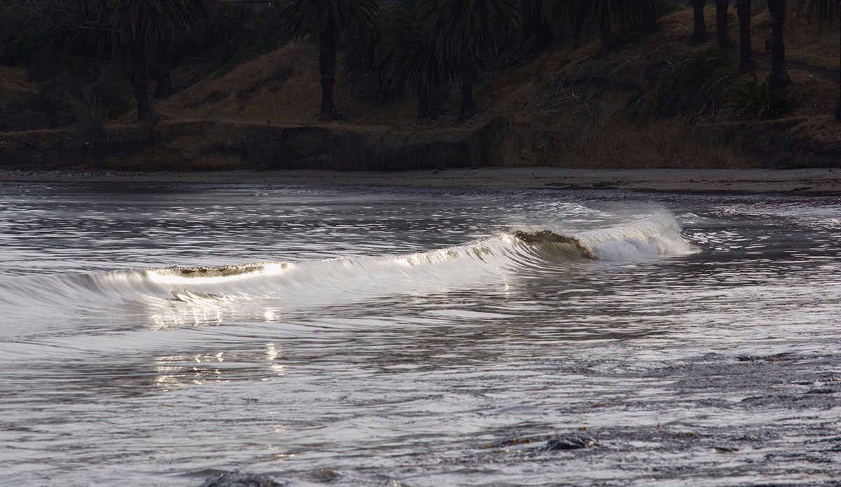 Photo:<a href=\"https://www.rjmorabitophoto.com/\">RJ Morabito</a>