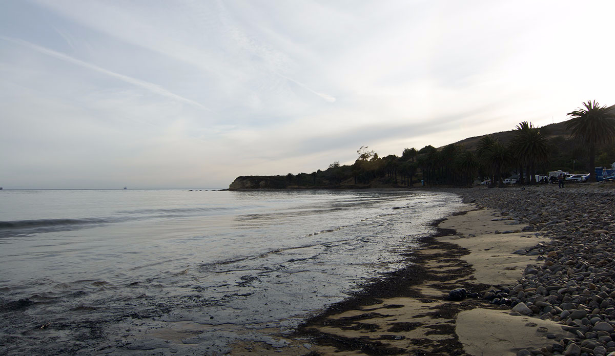 Photo:<a href=\"https://www.rjmorabitophoto.com/\">RJ Morabito</a>