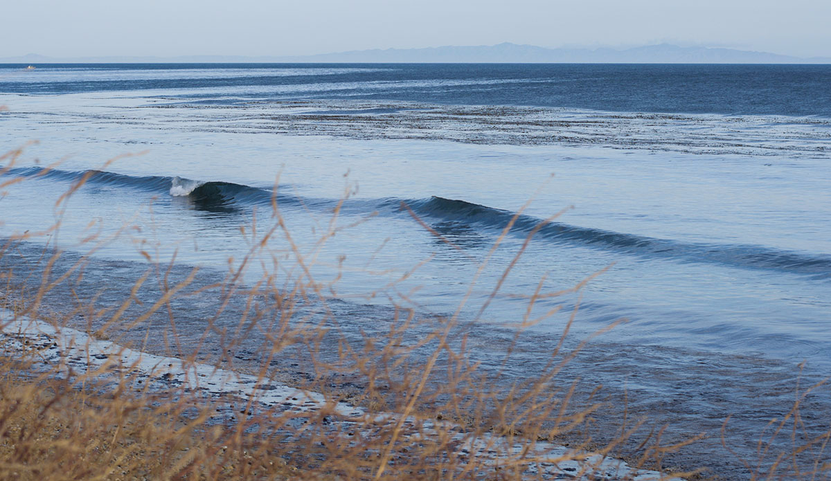 Photo:<a href=\"https://www.rjmorabitophoto.com/\">RJ Morabito</a>