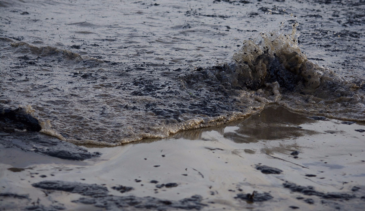 Photo:<a href=\"https://www.rjmorabitophoto.com/\">RJ Morabito</a>