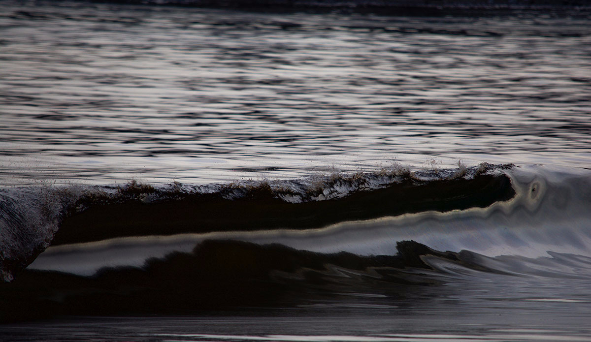 Photo:<a href=\"https://www.rjmorabitophoto.com/\">RJ Morabito</a>