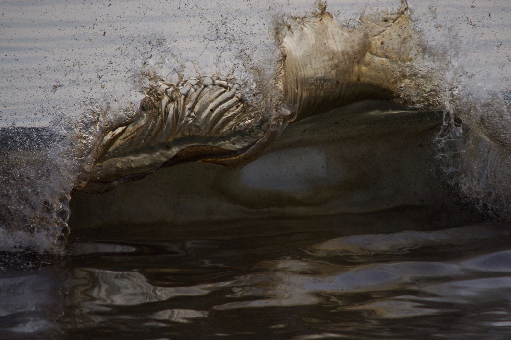 Photo:<a href=\"https://www.rjmorabitophoto.com/\">RJ Morabito</a>