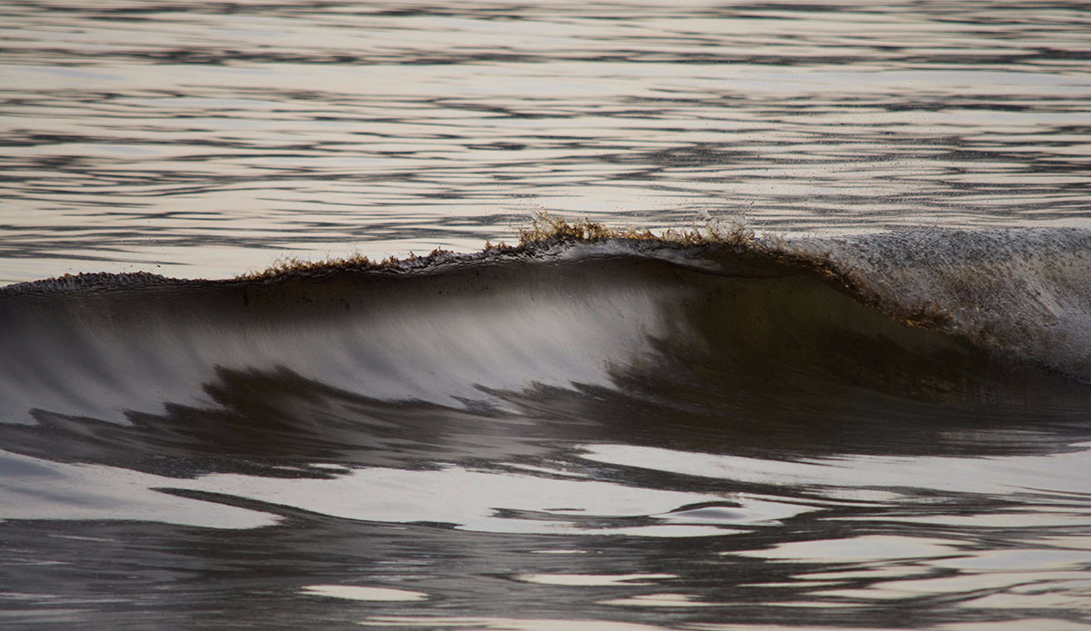 Photo:<a href=\"https://www.rjmorabitophoto.com/\">RJ Morabito</a>