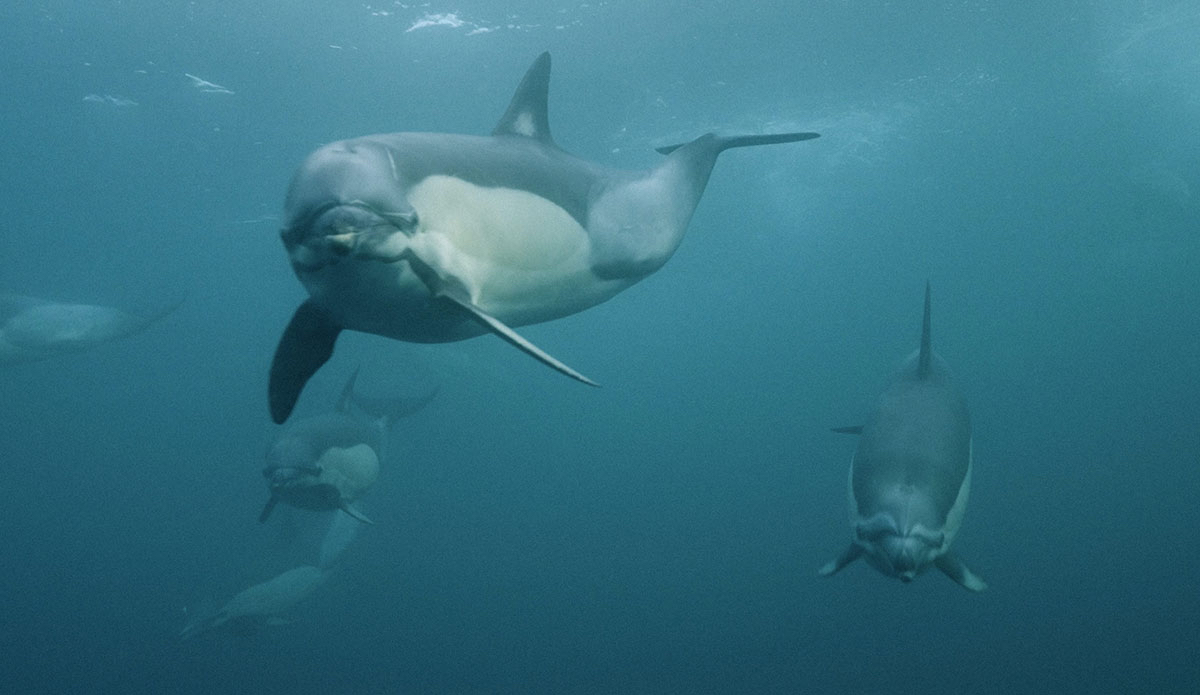 Photo: <a href=\"https://www.nownow.media\">Now Now Media</a>