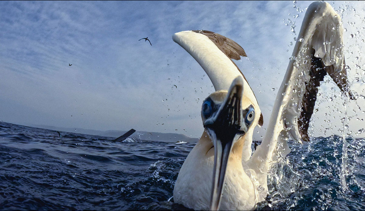 Photo: <a href=\"https://www.nownow.media\">Now Now Media</a>