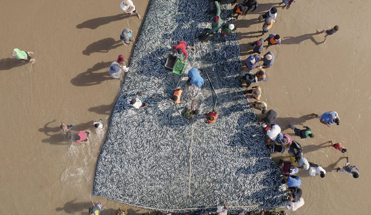 Photo: <a href=\"https://www.nownow.media\">Now Now Media</a>