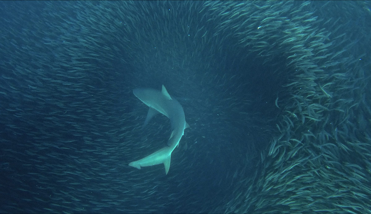 Photo: <a href=\"https://www.nownow.media\">Now Now Media</a>