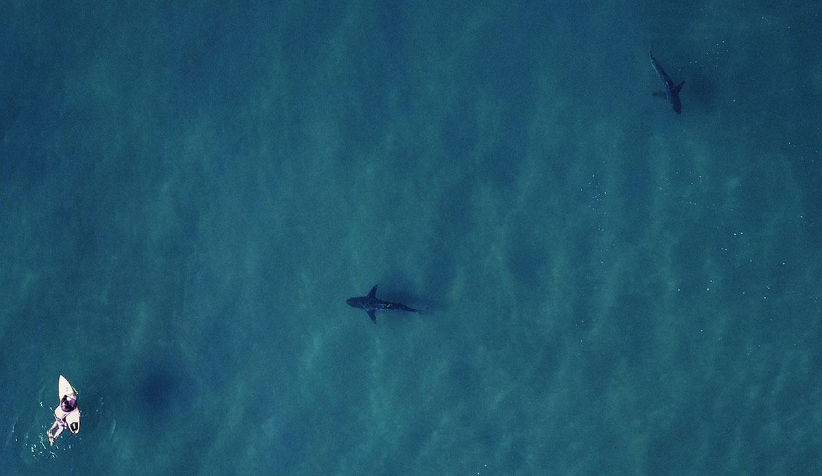 Photo: <a href=\"https://www.nownow.media\">Now Now Media</a>