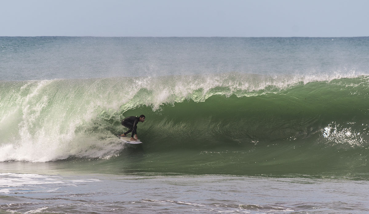 Photo: Stefano Atzeni