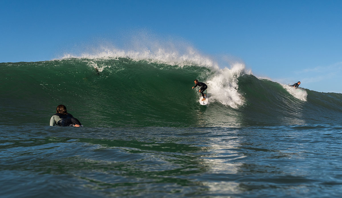 Photo: Stefano Atzeni