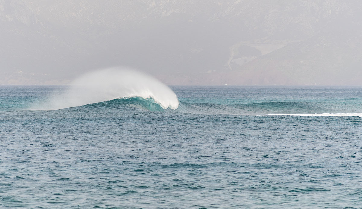 Photo: Stefano Atzeni