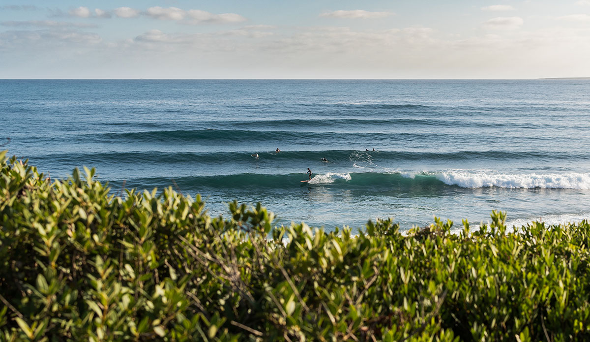 Photo: Stefano Atzeni