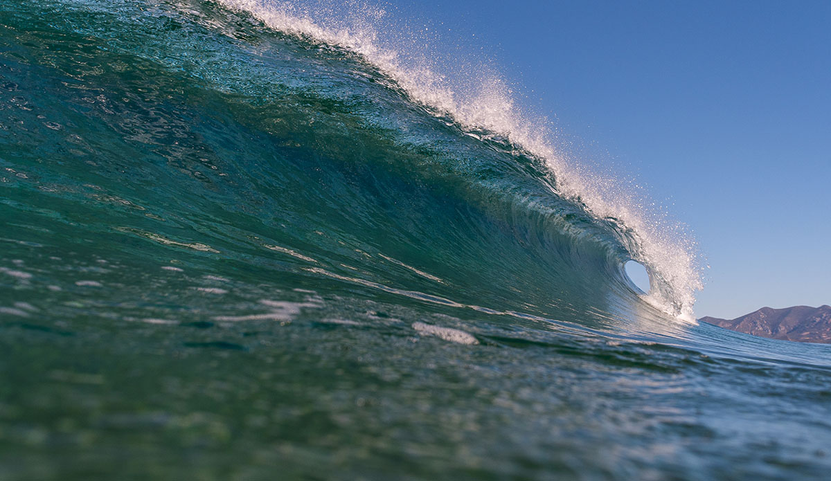 Photo: Stefano Atzeni