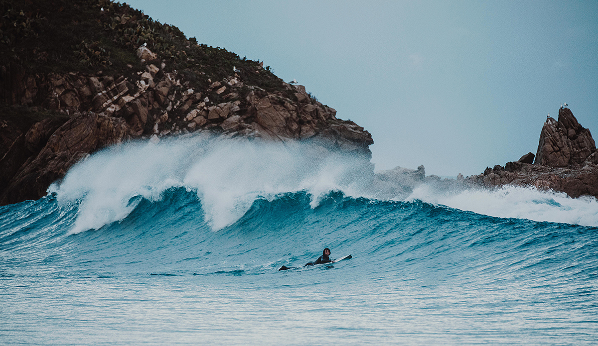 Photo: Gianluca Fortunato/Giulia Mameli