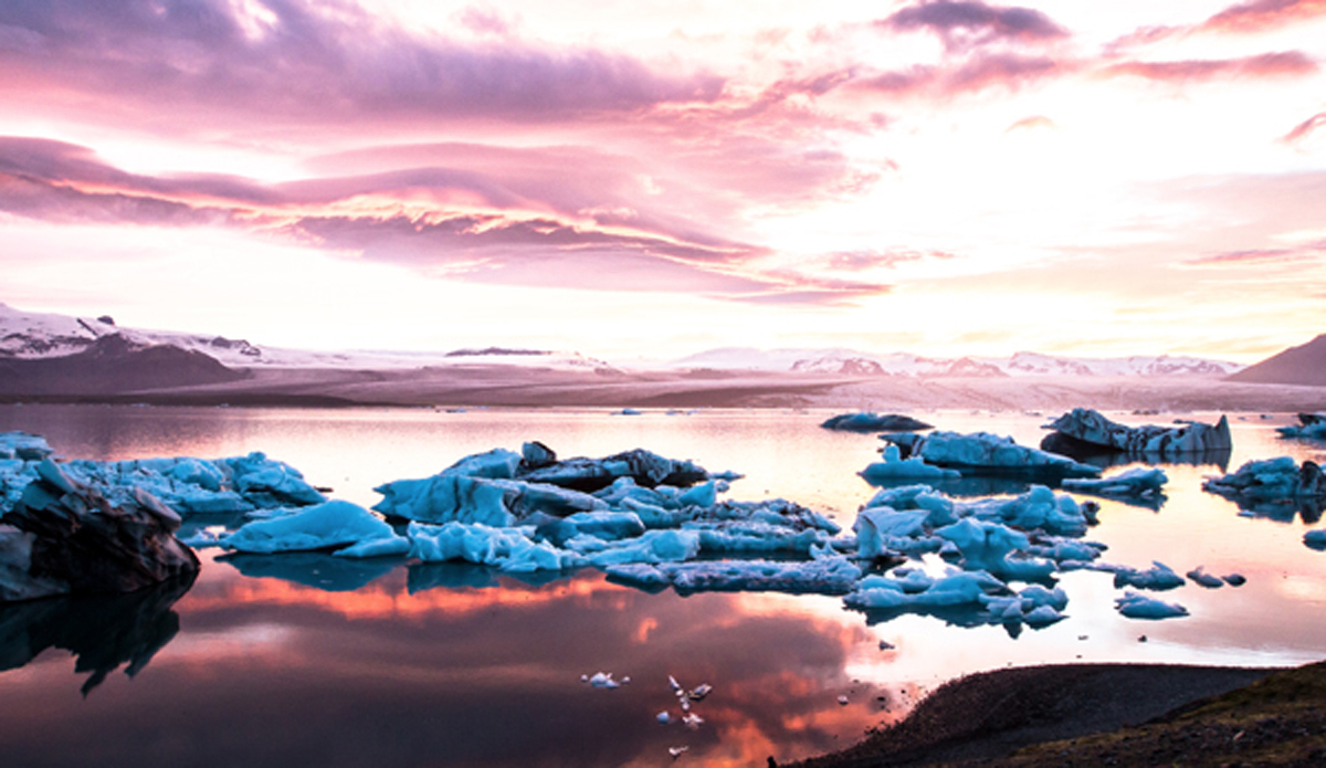  Photo: <a href=\"https://lowtiderising.com/\" target=\"_blank\">Branden Aroyan/lowtiderising.com</a>