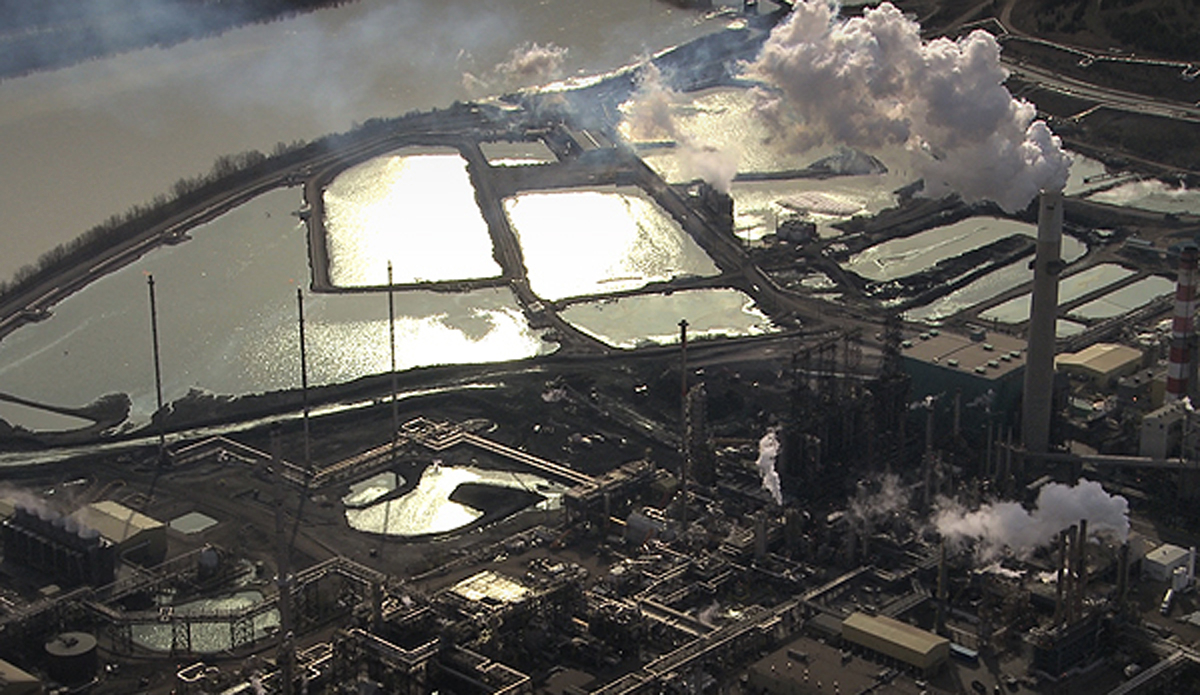  Photo: <a href=\"https://lowtiderising.com/\" target=\"_blank\">Branden Aroyan/lowtiderising.com</a>