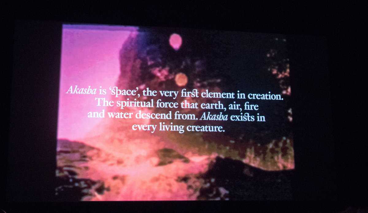  Photo: <a href=\"https://lowtiderising.com/\" target=\"_blank\">Branden Aroyan/lowtiderising.com</a>