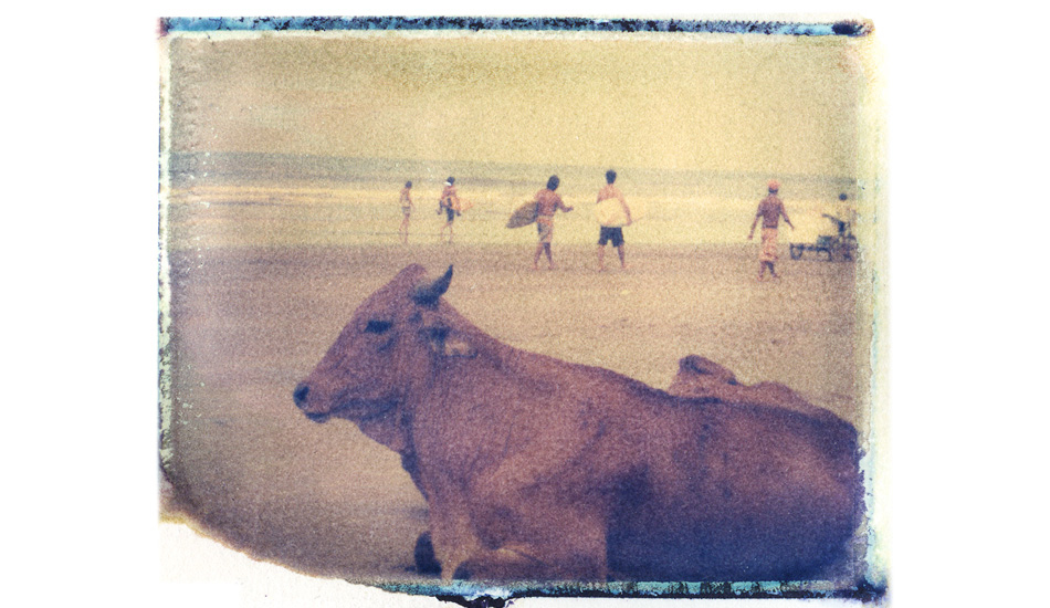 Surf Cow. This image was taken in Montanita, Ecuador. I was actually sitting right next to a group of cows on the beach. I was waiting for the surfers to walk into the frame without the cows moving. Image: <a href=\"https://shehitpausestudios.com/\" target=\"_blank\">Schwartz</a>