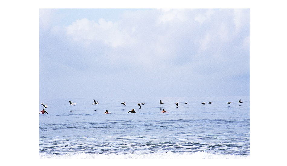 Surfers and Pelicans. The beauty of the intervals between sets. Waves, quiet, and low flying birds. Surrounded by goodness. Image: <a href=\"https://shehitpausestudios.com/\" target=\"_blank\">Schwartz</a>