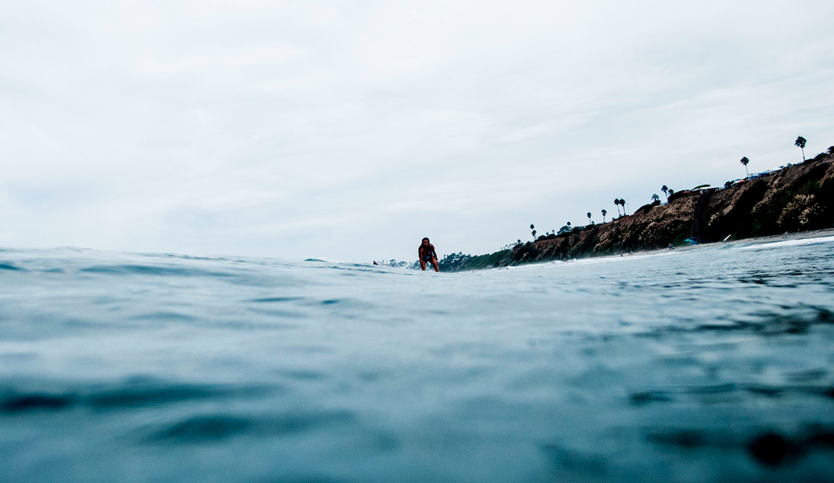 Photo: <a href=\"https://brianadiamond.smugmug.com/\">Briana Diamond</a>