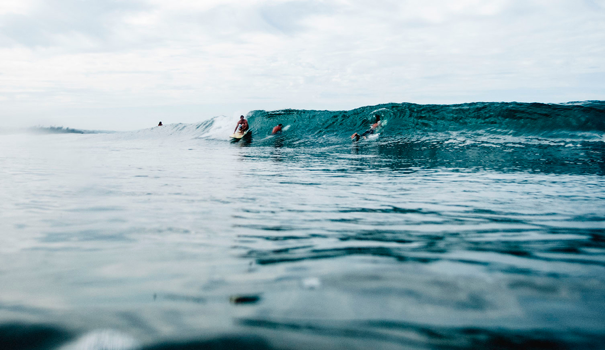 Photo: <a href=\"https://brianadiamond.smugmug.com/\">Briana Diamond</a>