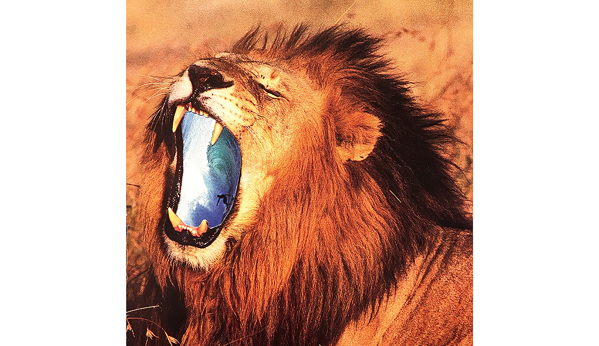 Photo: Sean Bernhardt// @space_bat_killer