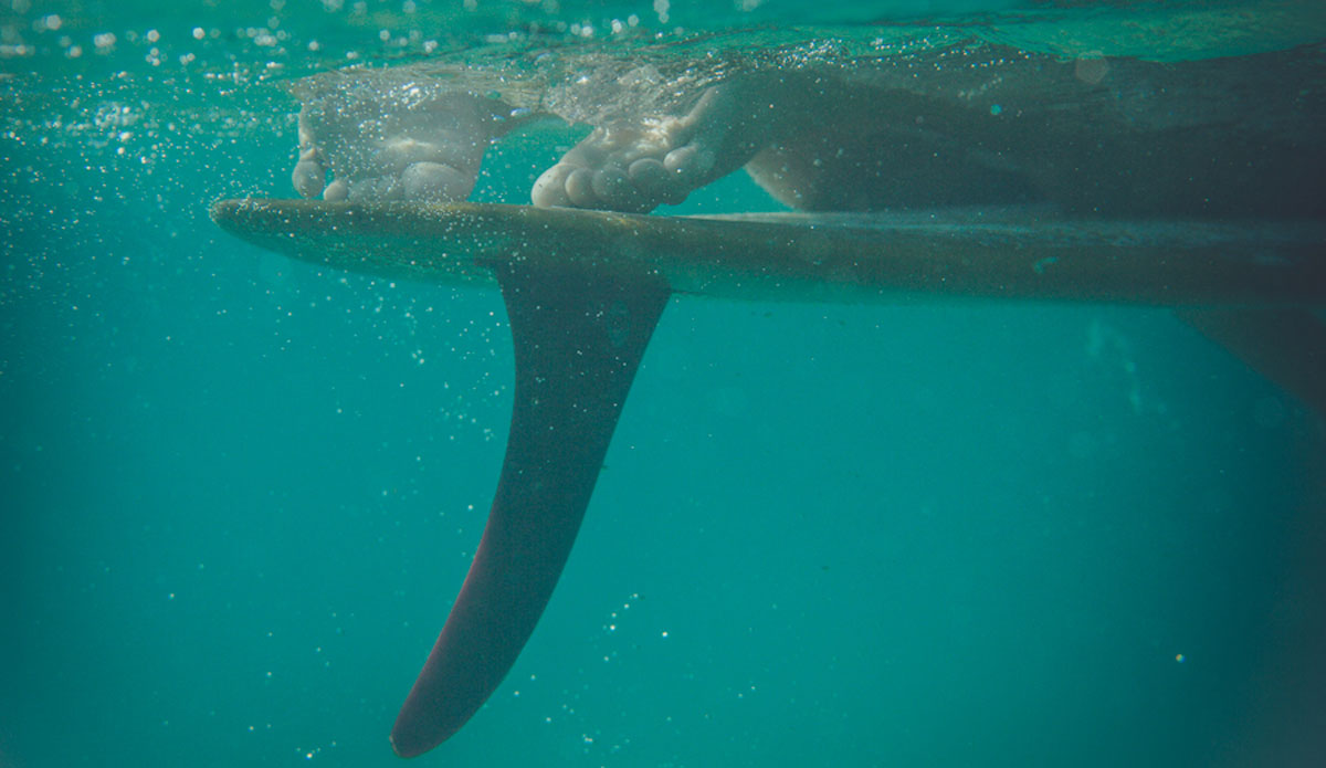 Under the sea at Noosa. Photo: <a href=\"https://thomaslodin.tumblr.com/\">Thomas Lodin</a>