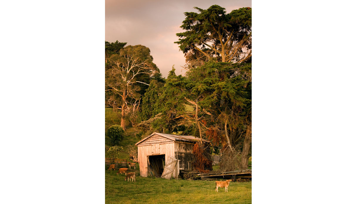 New Zealand is a magical place for so many reasons. Both islands are so picturesque that you never get a chance to put your camera down and, for that reason, this image almost didn\'t happen. We were at the end of a two week road trip across both islands and everyone in the car was sick of me saying, \"Pull over. I need to shoot that.\" We still had a few hours of driving to get to our destination and the sun was on the horizon line when we passed this broken down barn. I pleaded my case that it would be the last stop and we had to turn around so I could shoot that barn. Once everyone saw the final image, they understood and it\'s my favorite shot of the trip. I always think back to that moment to find motivation when I am on the road and see something that\'s going to require a little extra effort and my lazy side is telling me, \"Fuck it. Keep driving.\" Photo: <a href=\"https://sethderoulet.com/\">Seth de Roulet</a>