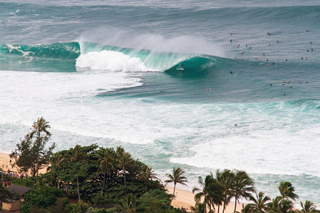 Photo: <a href=\"https://www.shanegracephoto.com\">Shane Grace</a>